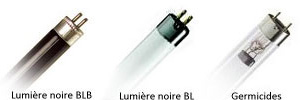 Image 3 tubes fluorescents Noires et germicides