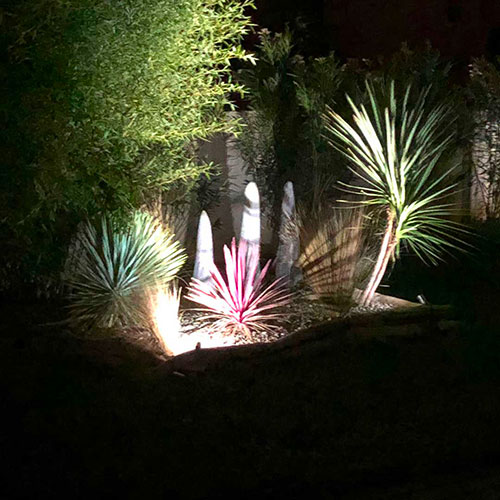 Eclairage au sol sublimant l'espace vert