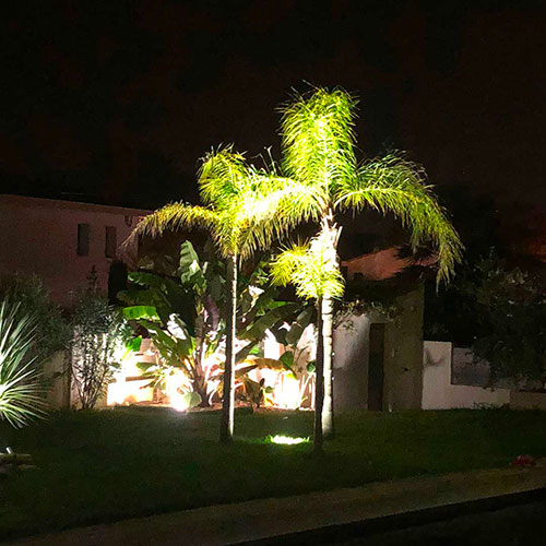 Projecteur au sol illuminant le jardin