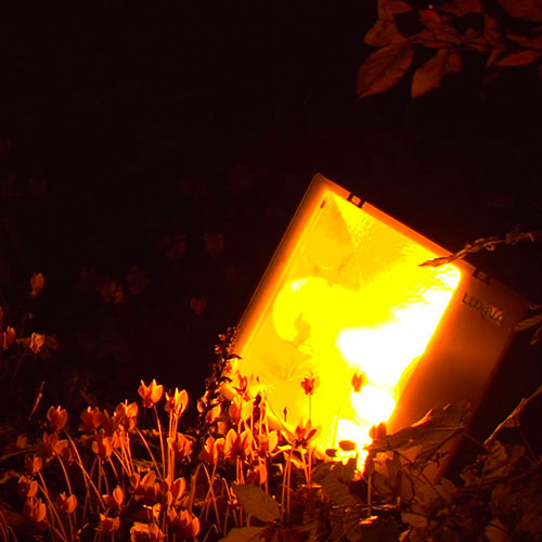 Projecteur au sol Luxna