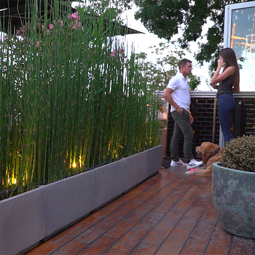 La terrasse du restaurant vgtalise bnficie d?un clairage 