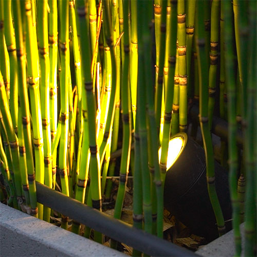 Un spot piquet LED In House Led intgr  la jardinire permet de mettre en valeur les plantes de la terrasse 