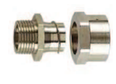 Photo Raccord CAPRIPLAST GS fixe - taille 50 - ISO 50 - IP54 - laiton nickel | Ref : CAP325054
