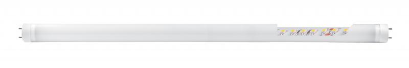 Photo Tube LED (T8) | Ref : 2873