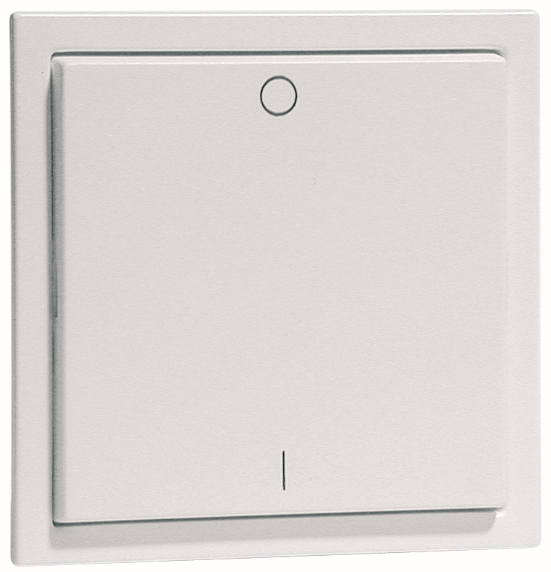 Photo INTERRUPTEUR AVEC MARQUAGE SANS FIL SANS | Ref : D2045002FUBLS