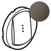 Photo Enjoliveur Cliane pour interrupteur temporis ou interrupteur et ventilation  -  finition graphite | Ref : 067936