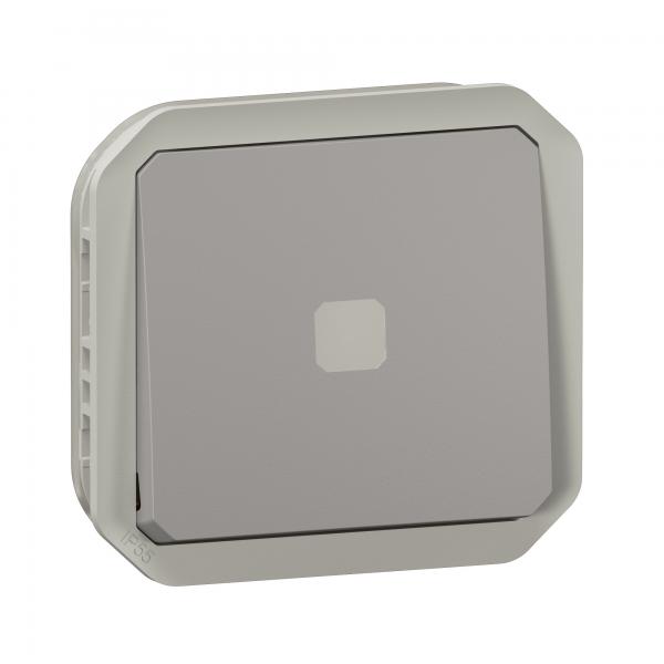 Photo Interrupteur temporis lumineux Plexo composable gris | Ref : 069504L