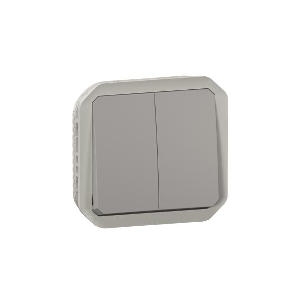 Photo Commande double interrupteur ou poussoir Plexo composable gris | Ref : 069525L