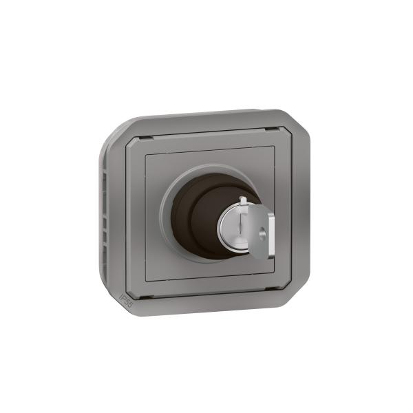 Photo Interrupteur à clé Ronis 2 positions Plexo composable gris | Ref : 069534L