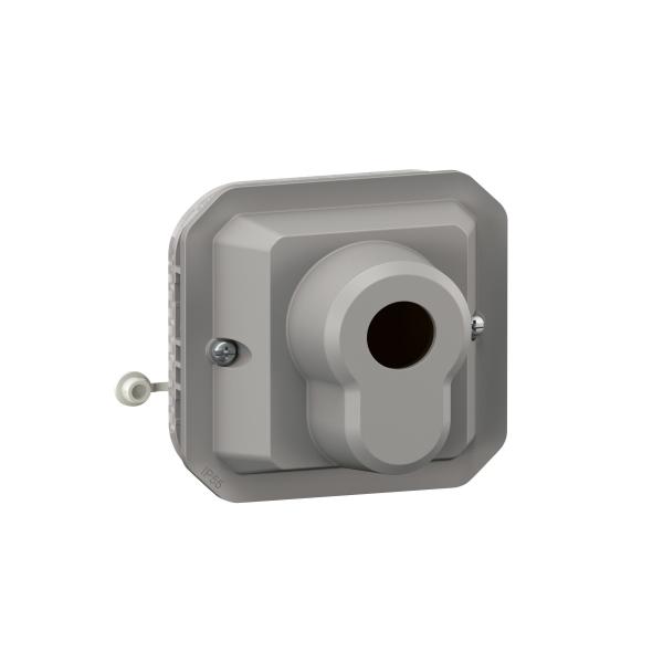 Photo Interrupteur  cl Ronis 3 positions Plexo composable gris | Ref : 069535L