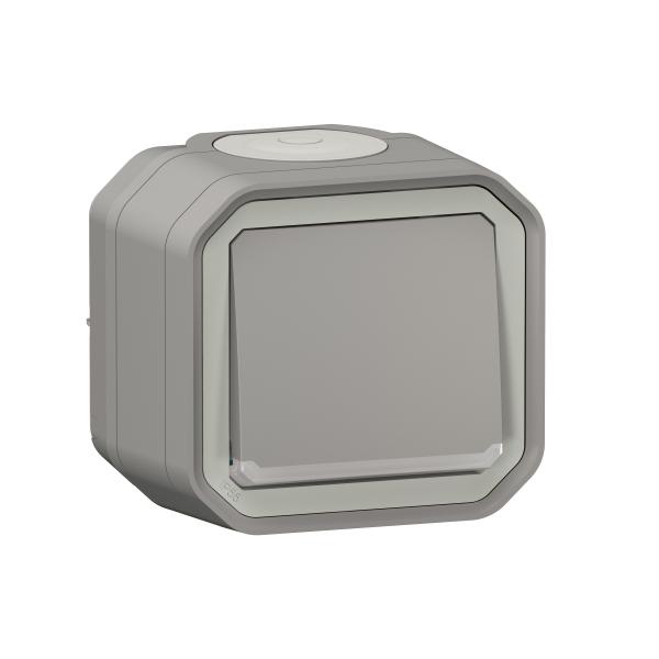 Photo Interrupteur ou va-et-vient tmoin 10AX 250V Plexo complet saillie gris | Ref : 069712L