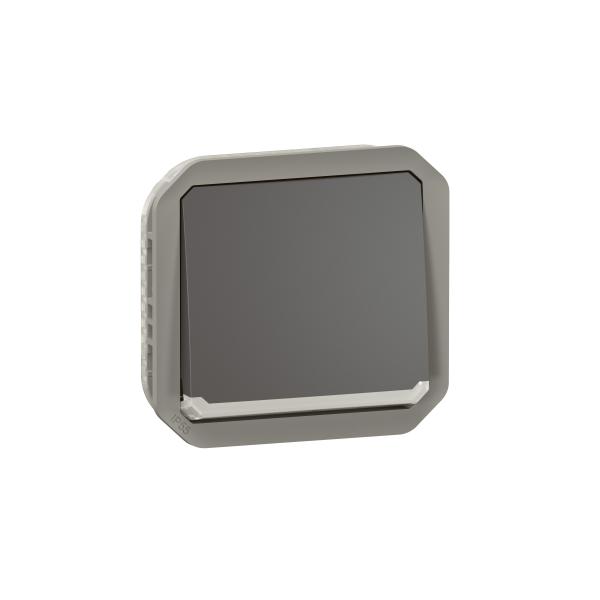 Photo Interrupteur bipolaire Plexo composable anthracite | Ref : 069827L