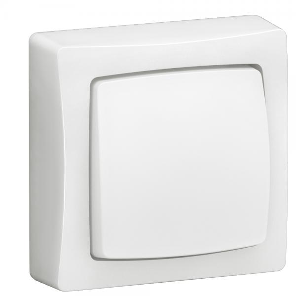 Photo Interrupteur bipolaire Appareillage saillie complet - blanc | Ref : 086003L