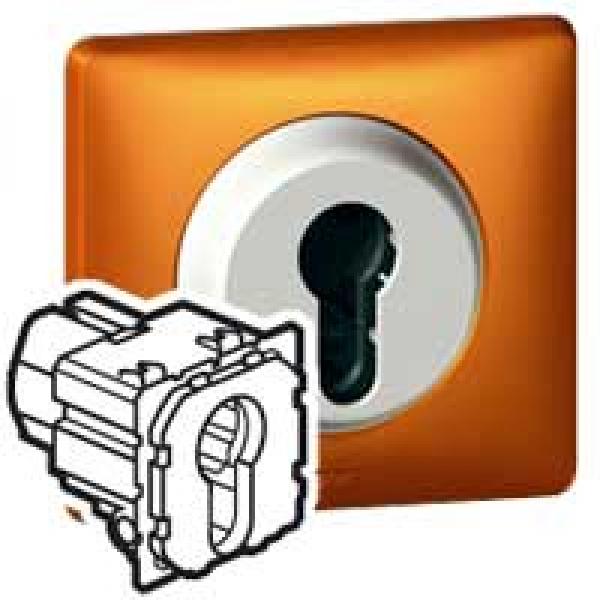 Photo Interrupteur  cl 2 positions Cliane 2NO 10A 230V | Ref : 067009