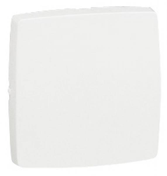 Photo Poussoir 6A Appareillage saillie composable blanc | Ref : 086106