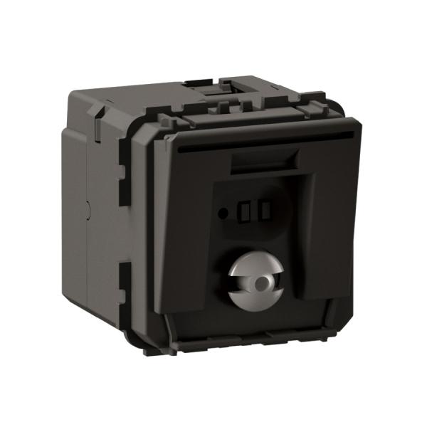 Photo Lecteur de badge BUS pour badge ou carte format 45mm ou 54mm 2 modules - Cliane | Ref : CM0510