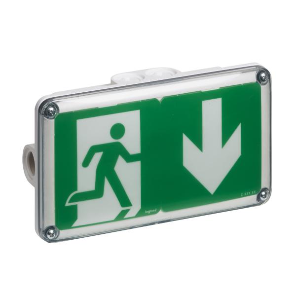 Vignette 2 produit BAES + BAEH d'vacuation saillie IP66 IK10 plastique SATI connect pour ERP et ERT | Ref : 062561