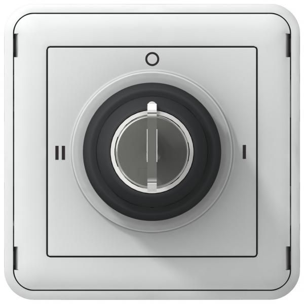 Vignette 2 produit Interrupteur � cl� Ronis n�455 3 positions Plexo composable IP55 3A 250V - gris | Ref : 069535