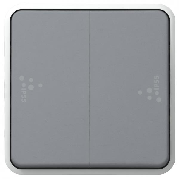 Vignette 2 produit Double poussoir tanche NO+NF Plexo composable IP55 10A - gris | Ref : 069545