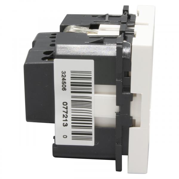 Vignette 2 produit Prise de courant 2P+T  puits germanique spciale 4mm et repiquage Mosaic 2 modules avec bornes  v | Ref : 077213