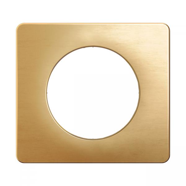 Vignette 2 produit Plaque de finition nouveau Cliane 1 poste - Laiton Satin | Ref : CP1201