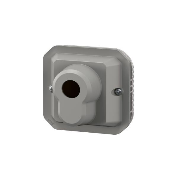 Vignette 3 produit Ref : 069535L | Interrupteur  cl Ronis 3 positions Plexo composable gris