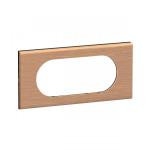 LEGRAND Plaque de finition nouveau cliane 4  5 modules - chne CP2408