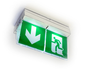 Photo KIT SIGNALETIQUE PLAFOND BOITIER EPSILON | Ref : LUM10533