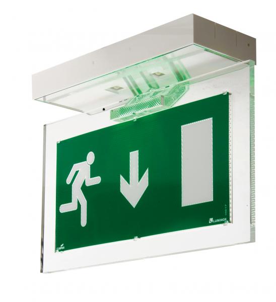 Photo PLANETE 60 DESIGN Leds vertes | Ref : LUM17002
