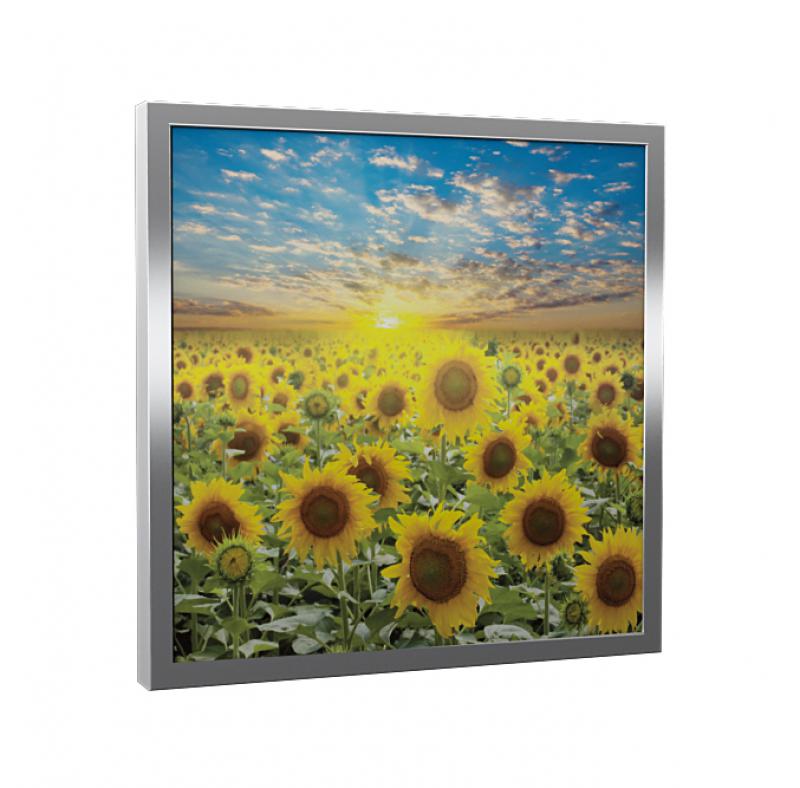 Photo Cassette 300W Dynabox-G Flowers-600-600-50-IP20-Cadre argent | Ref : 312070