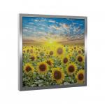 ACSO PRODUCTION Cassette 300w dynabox-g flowers-600-600-50-ip20-cadre argent 312070