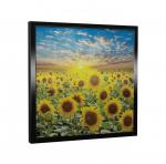 ACSO PRODUCTION Cassette 300w dynabox-g flowers-600-600-50-ip20-cadre noir 312071
