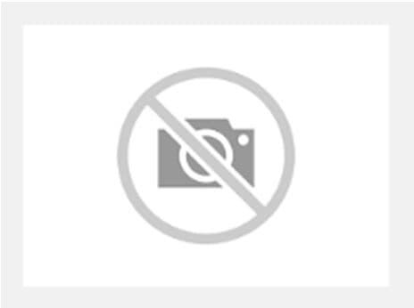 Photo PLASTRON 1R 24 MOD. 150X600 | Ref : 661508