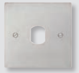 Photo Faade inox perc au diamtre 25 mm pour lecteur vigik pour fixation sur pot de 60 mm | Ref : VIG60