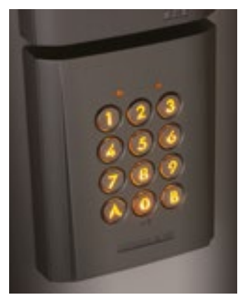 Vignette 2 produit Clavier saillie rsistant au vandalisme. clair 100 codes 2 relais 12/24vca-cc | Ref : AC10S        