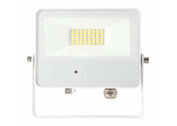 Photo SKY BLANC AVEC DETECTION 30W 4000K | Ref : 4352
