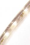 BLACHERE ILLUMINATION Cordon fil lumire led blanc chaud-50m 230v-blanc chaud-12.5mm-avec accessoire HLNL51W