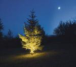 BLACHERE ILLUMINATION Kit projecteur arbre blanc chd comprenant : 1 prjaw+1 prtr24n+1 fysdow+1 fy-mous KITG29W
