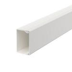 OBO BETTERMANN Goulotte de distribution wdk25040rw/25x40x2000/pvc 6191061