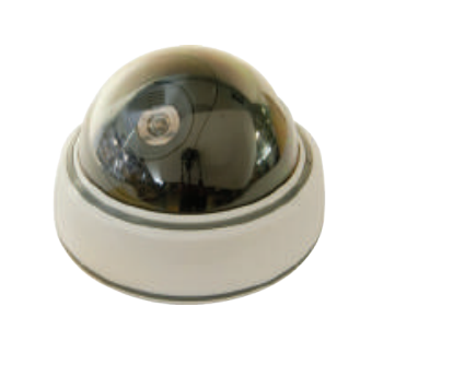 Photo CAMERA DOME INTERIEUR FACTICE | Ref : 051071