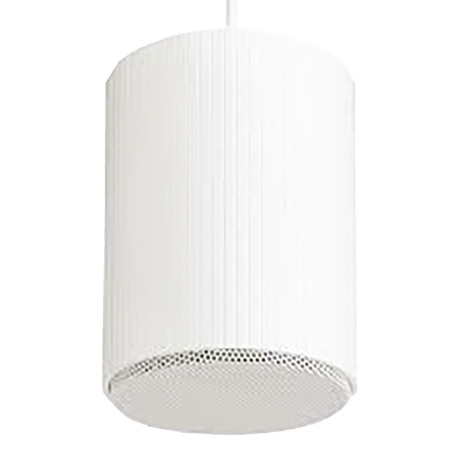 Photo HAUT PARLEUR SUSPENDU 10W-100V-CABLES 1, | Ref : LSI-9758