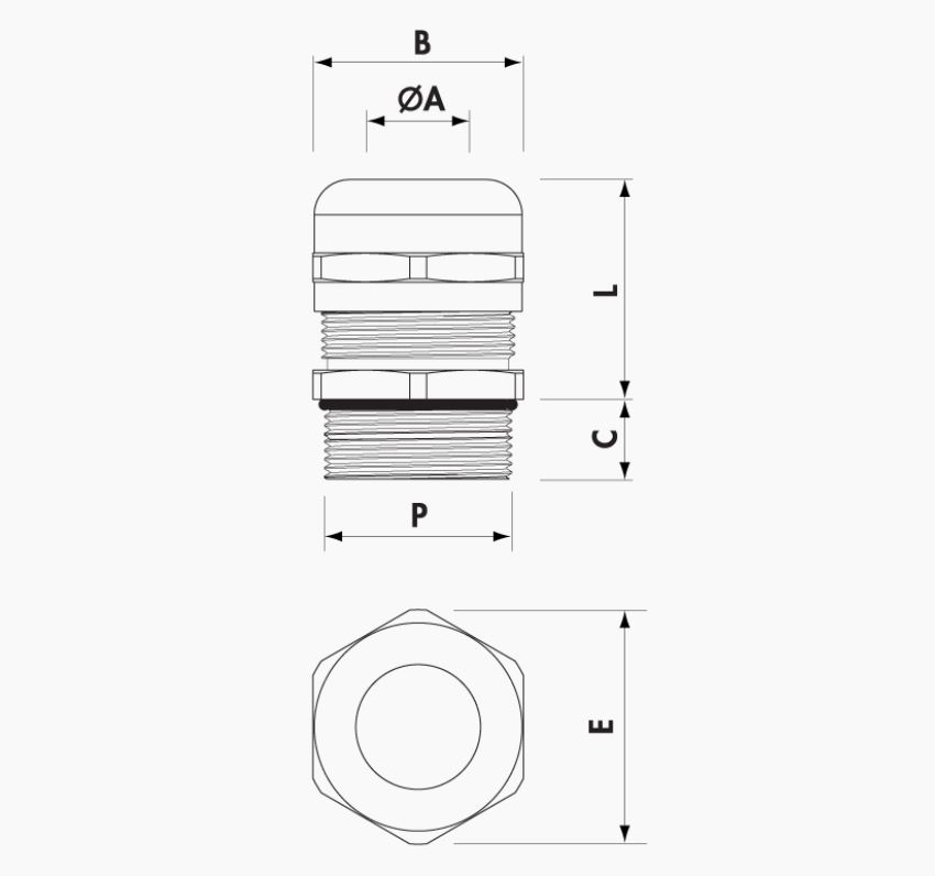 Vignette 3 produit Ref : 2900DPM20N | Presse-toupe obtur en laiton nickel IP68 ISO 20