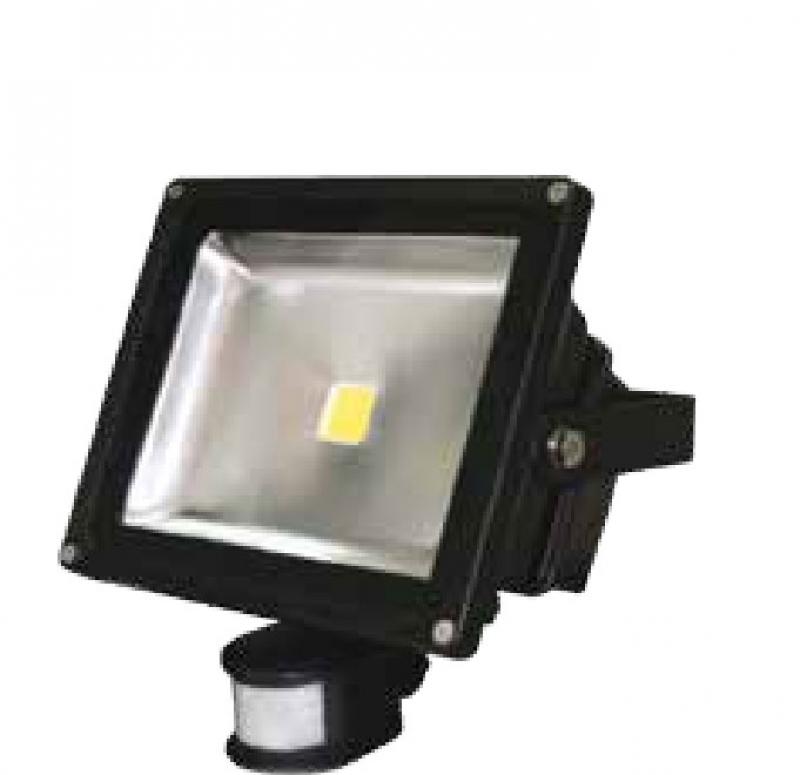 Photo PROJ LEDTEC 30W 5500K NR | Ref : LX5602/2/CW