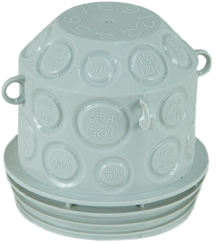 Photo Ptite tte de pieuvre  d85 av. op. | Ref : 52161