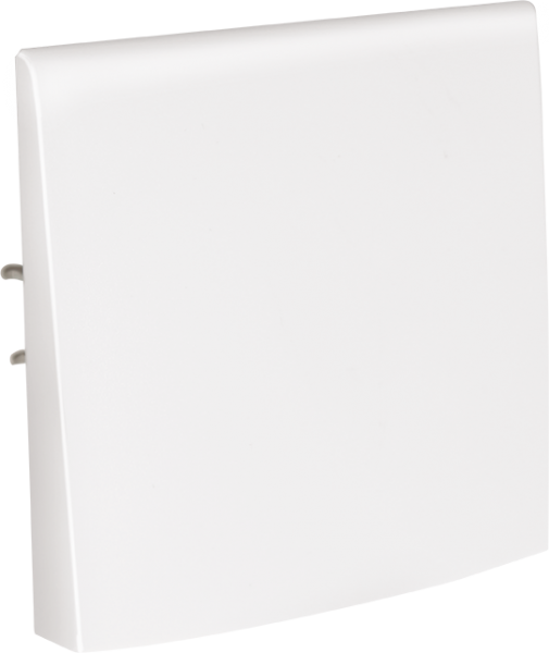 Photo Sortie de cable vis non apparentes. blanc | Ref : 60513