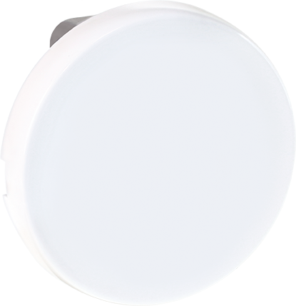 Photo COMETE Bouton Poussoir BLC  ouverture (contact NF) | Ref : 61104