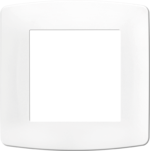 Photo Plaque blanche 1 p. X 50 Pces  | Ref : 61896