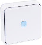 EUROHM Oxxo va et vient lumineux blanc encastre ip55 60889