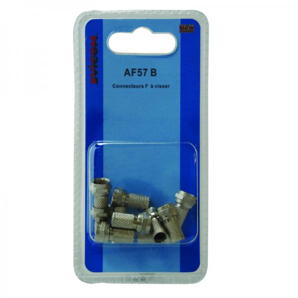 Photo BLISTER 10 AF57  F A VISSER | Ref : AF57/B       