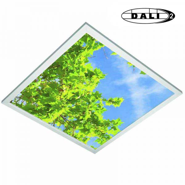 Photo DECOSKY 36W 2000lm 840 DALI | Ref : 301360